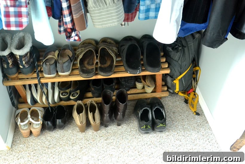 Walk in Closet Reveal