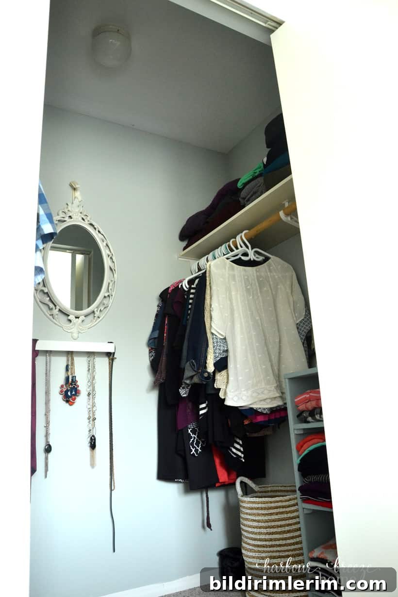 Walk in Closet Reveal