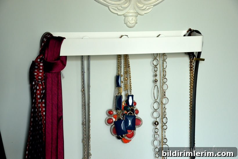 Walk in Closet Reveal