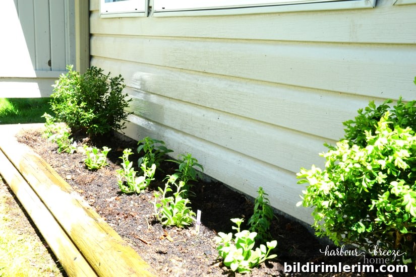 Urban Patio Styling: Before and During the Makeover 4 Urban patio styling