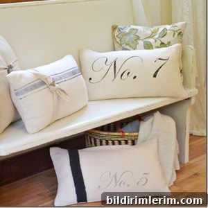 Hand Painted Pillow