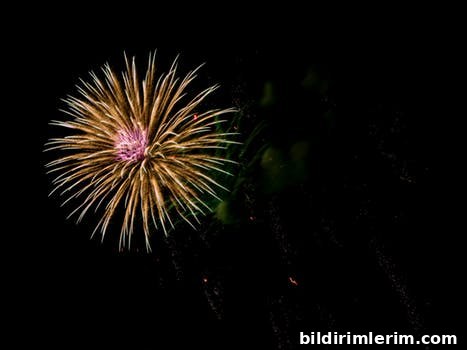 Fireworks over the water