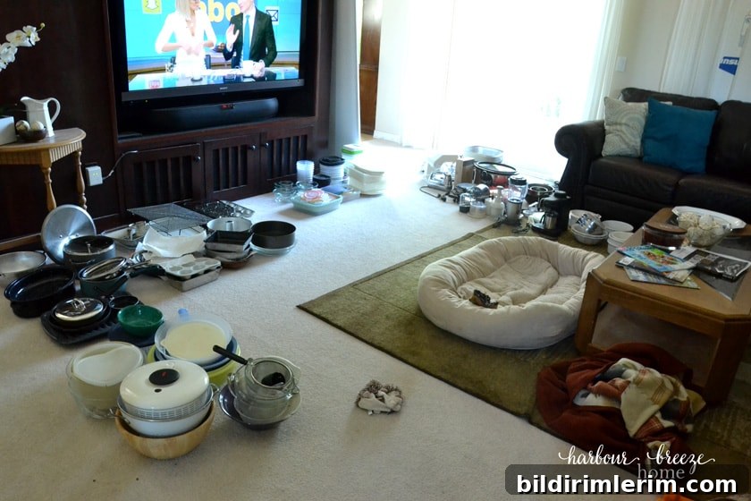 kitchen items laid out for sorting