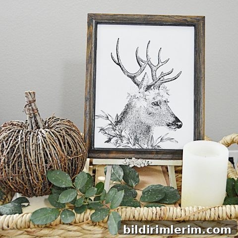 Image for The Deer King Printable