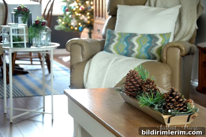 img 11078 4