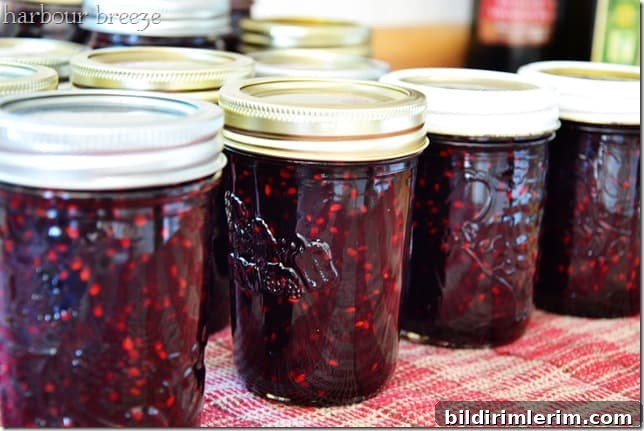 Recipes for every occasion