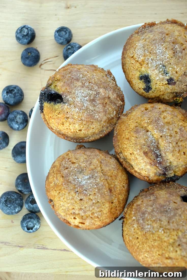Recipes for every occasion