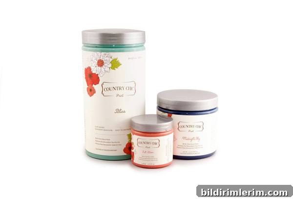 3 containers of country chic paint
