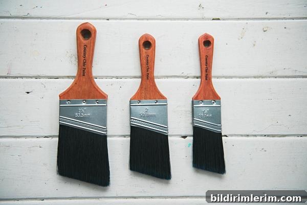 3 paintbrushes hanging on a wall
