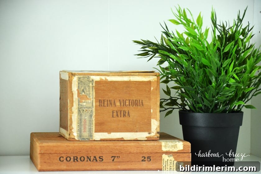 Wooden boxes and greenery on a shelf