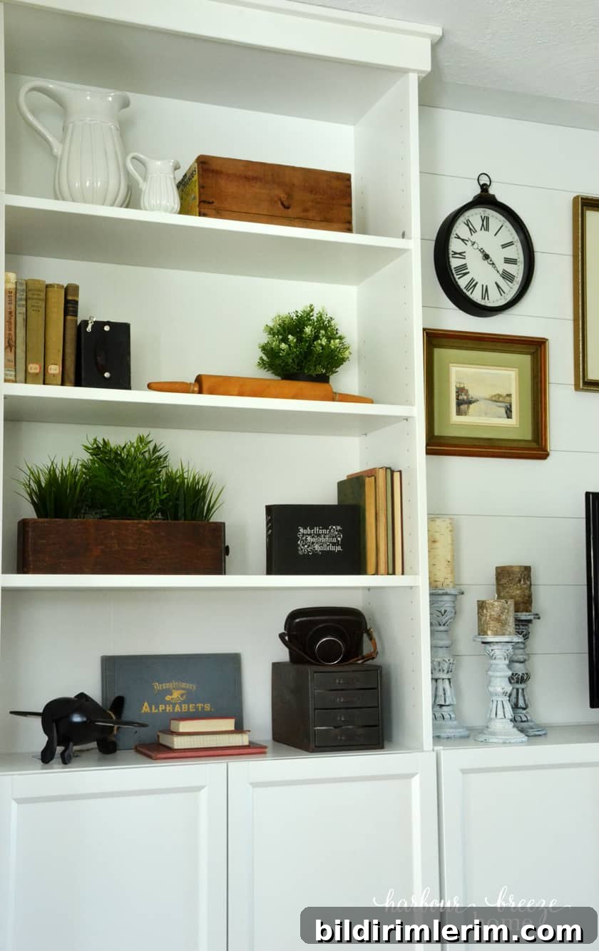 Billy Bookcases with wooden boxes, old books, greenery, and antique cameras