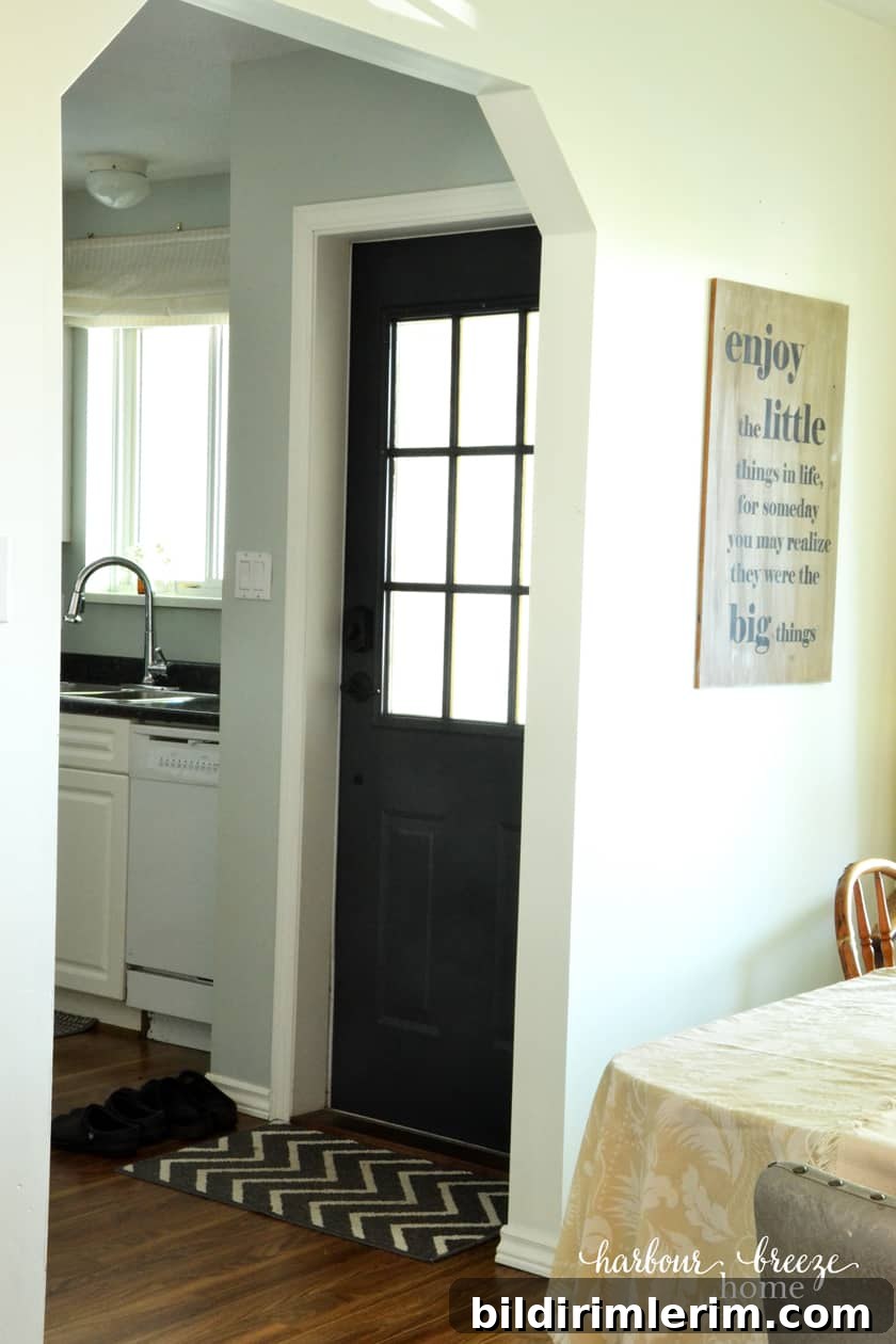 Inside door painted Raccoon Fur by Benjamin Moore