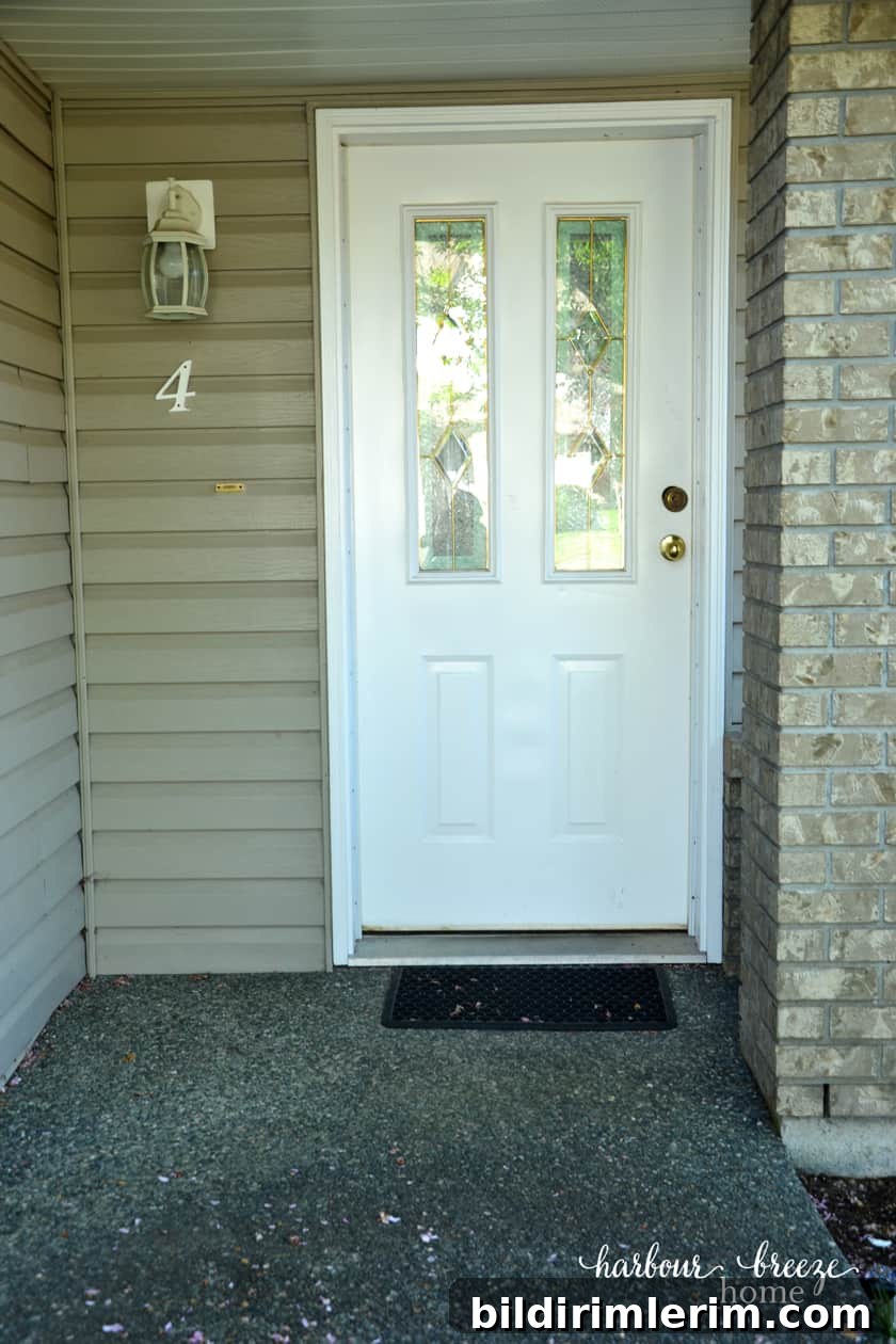 How to paint vinyl door sweeps a custom color white front door with no decor