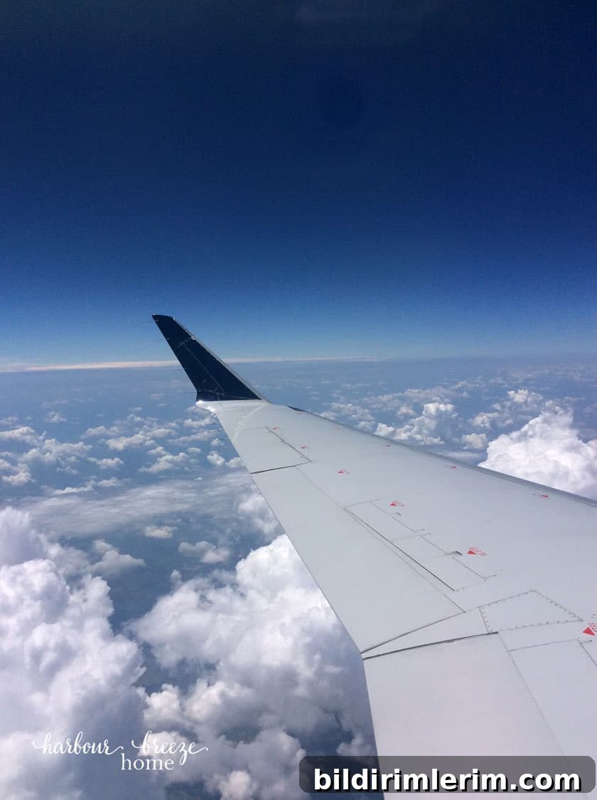 airplane in the sky
