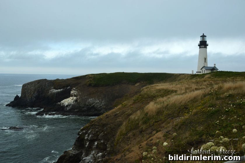 Lighthouse standing on a rocky cliff ~ Yaquina Head Lighthouse