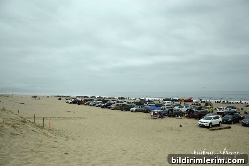 cars parked on a sandy beach