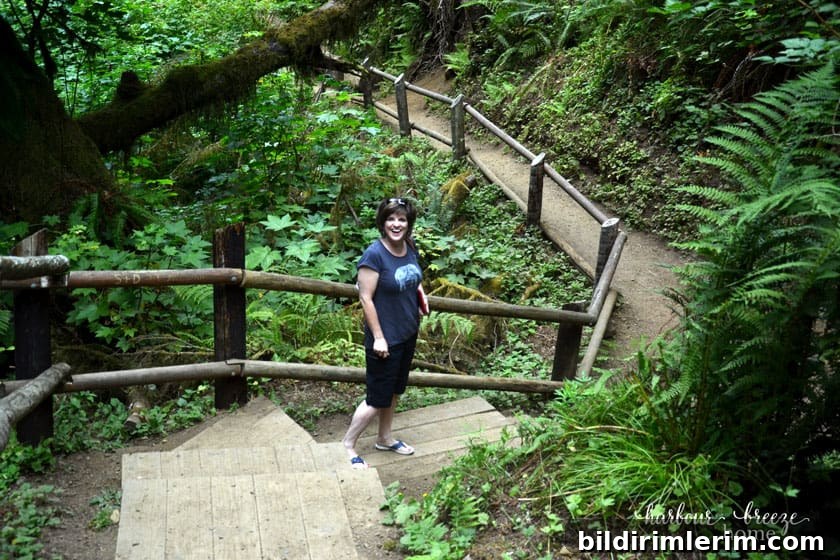 lady standing on a path in a park with ferns and trees