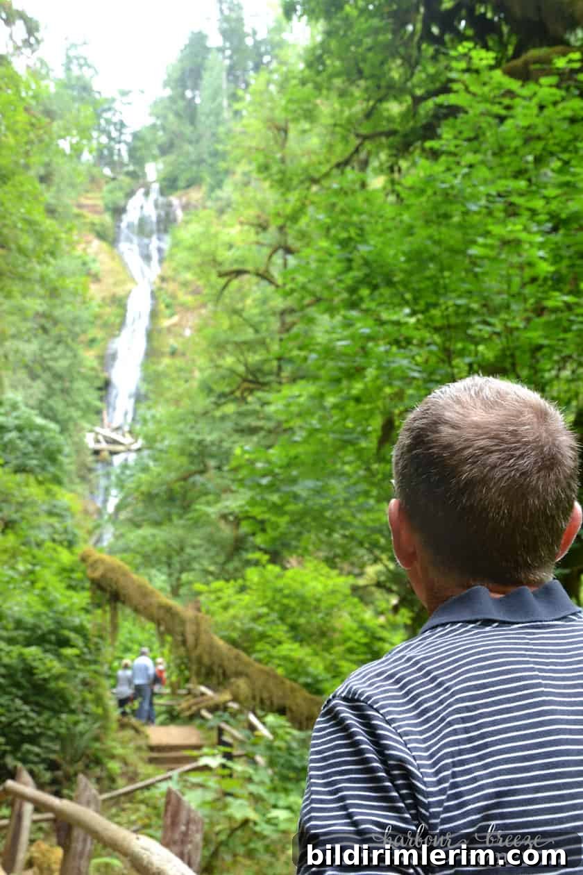 a man looking at a waterfall