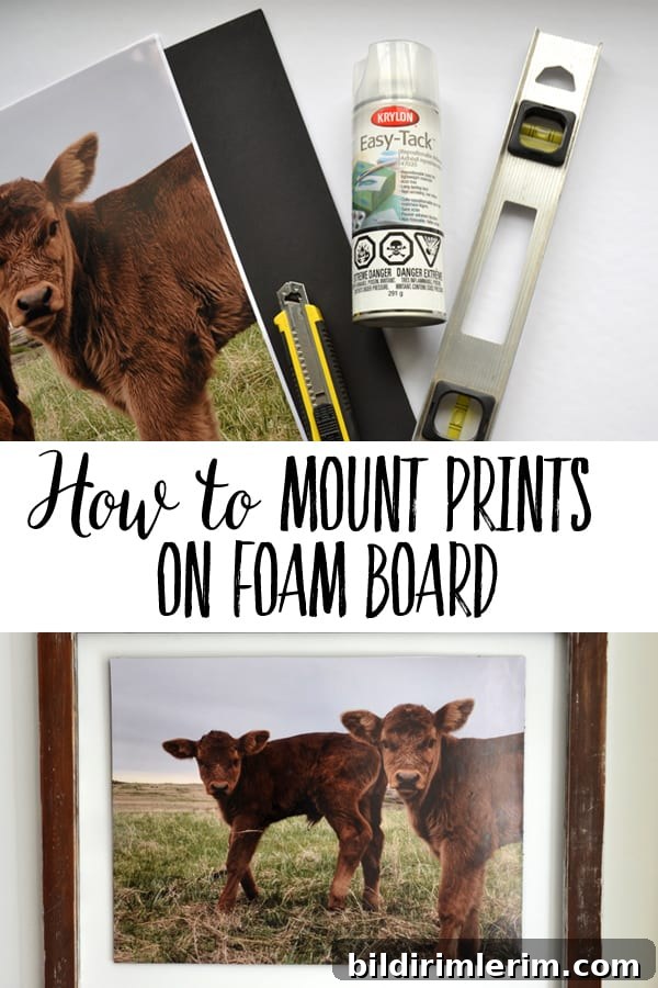 Large mounted photo on black foam board