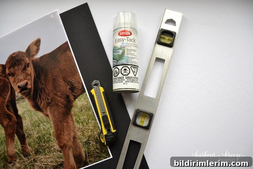 Supplies needed for mounting photos to foam board