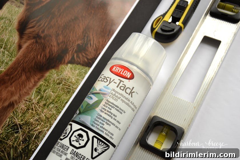 Tools for mounting photos on foam board