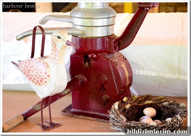 watering can bird