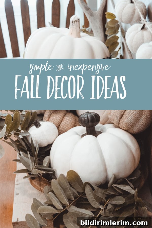 FALL DECOR IDEAS | Simple and inexpensive ways to add seasonal charm to your small space home