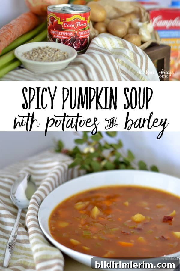 Bowl of Spicy Pumpkin Soup