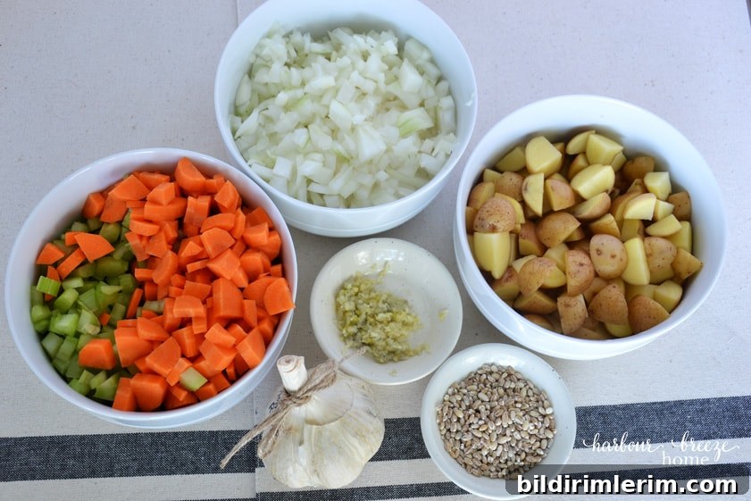Chopped vegetables for soup