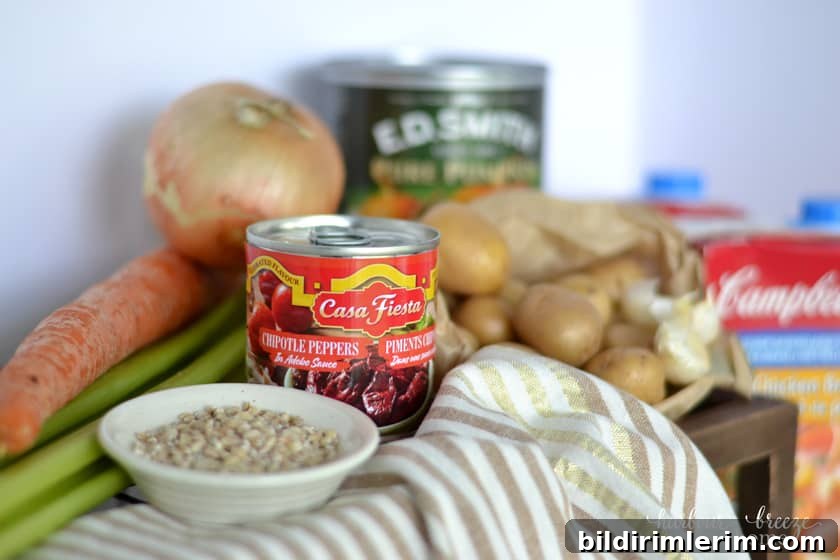 Can of chipotle peppers next to soup ingredients