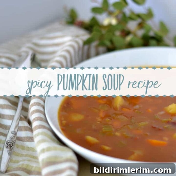 Spicy Pumpkin Soup recipe image