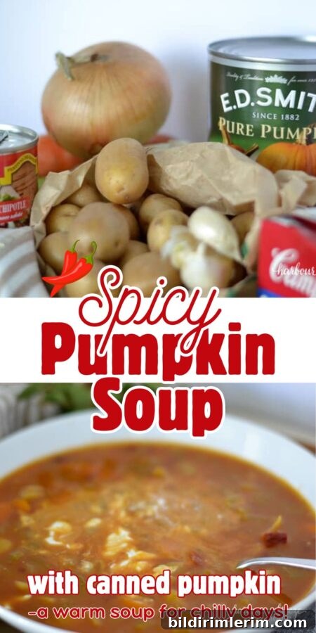 Pin this Spicy Pumpkin Soup for later