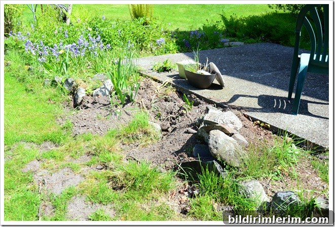 flower beds before