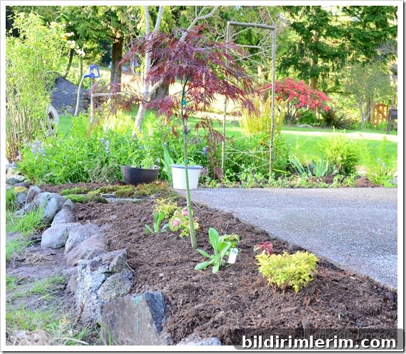 flower beds after