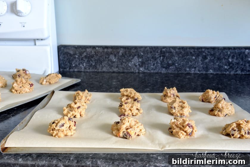 Cookie dough on cookie sheets