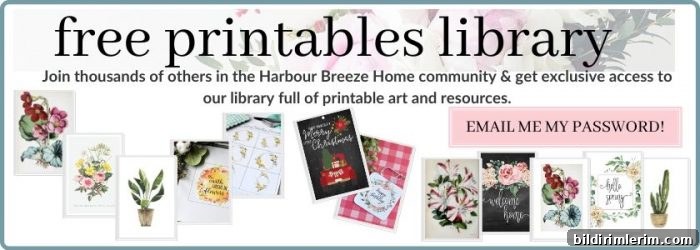 img 13092 12