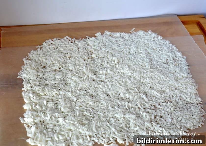 Coconut sprinkled onto waxed paper in preparation for church window cookies dough to be placed on it.