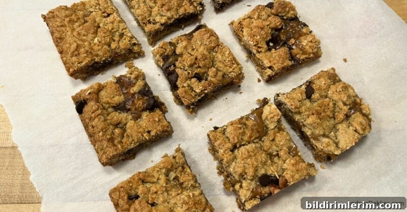 whole grain oatmeal caramel bars