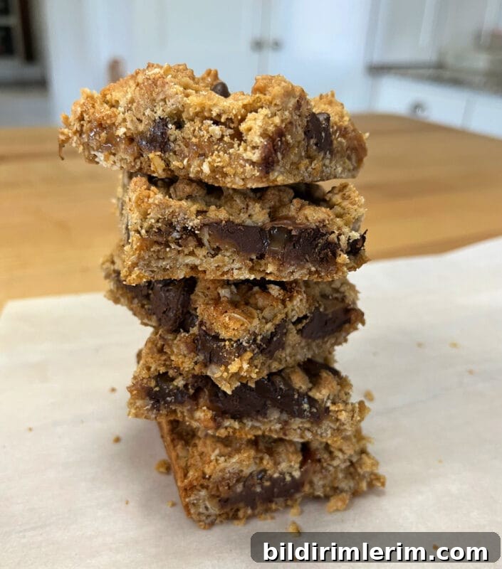 whole grain oatmeal caramel bars