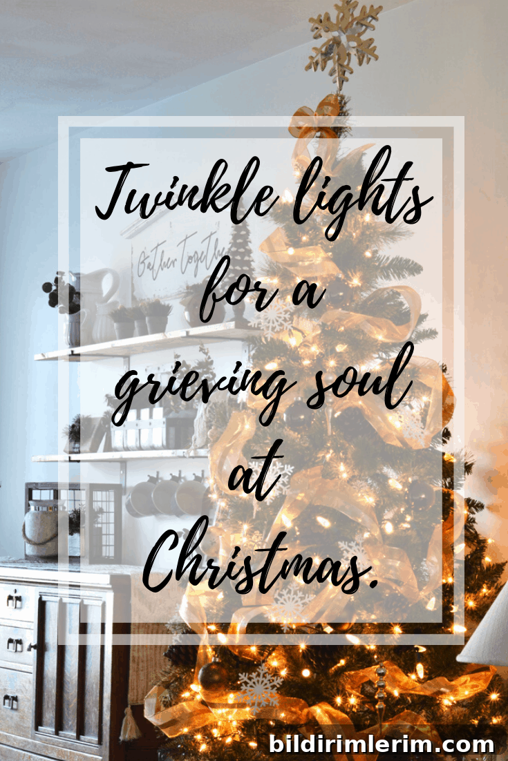 Christmas lights and snow