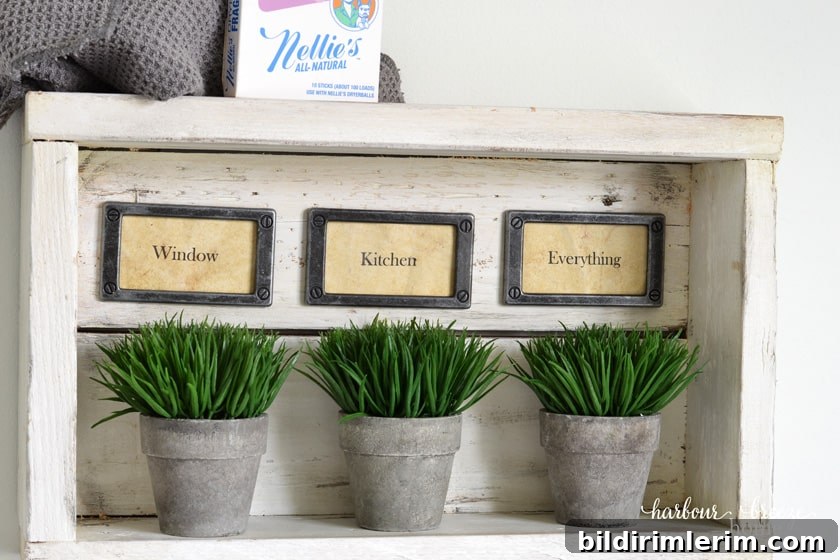 Rustic wall shelf  with hooks with 3 plants in it.