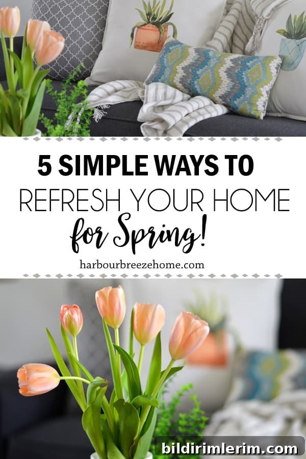 5 Simple and Affordable Ways to refresh your home for Spring (without spending any money!)