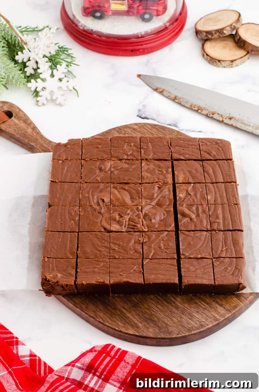 Foolproof Homemade Chocolate Fudge Recipe 7 Chocolate fudge cut into squares