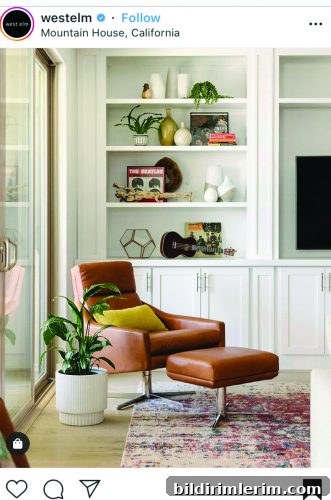 This picture of a white bookcase styled in a modern look with a brown leather chair in front with a large plant from West Elm was the jumping off point for decorating shelves in the living room.