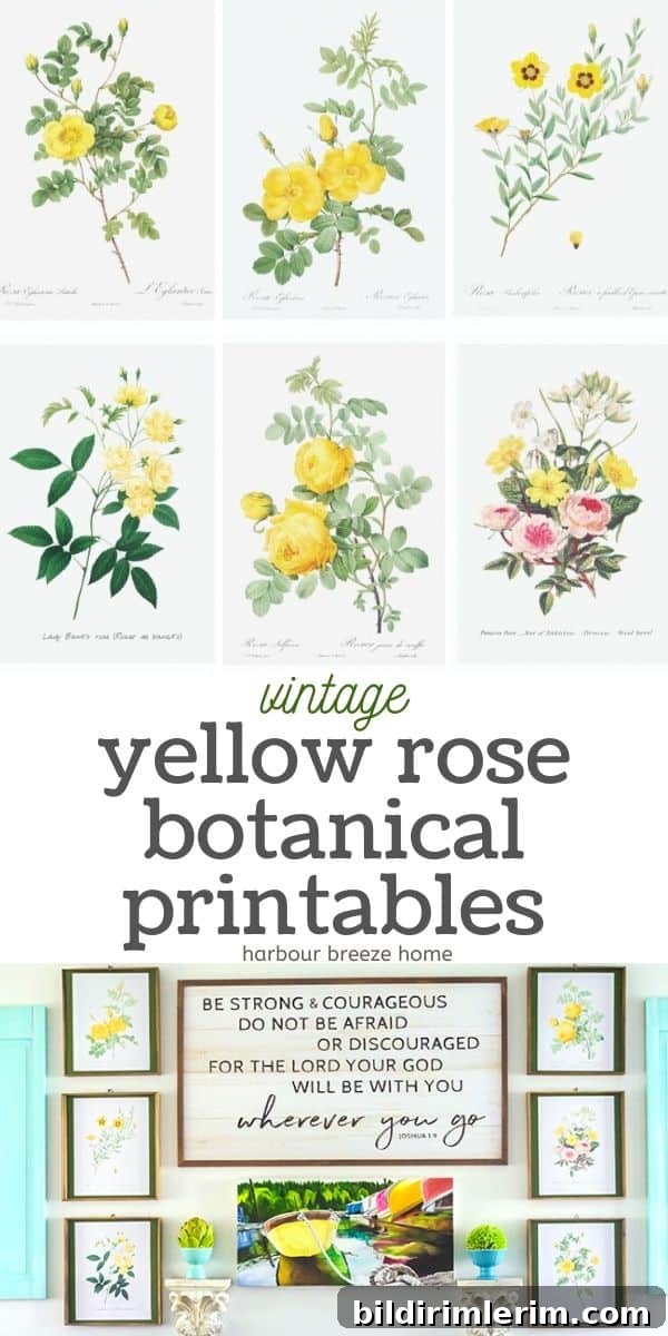 a collage of printable vintage art - yellow roses - with the text "Vintage Yellow Rose Botanical Printables" on it