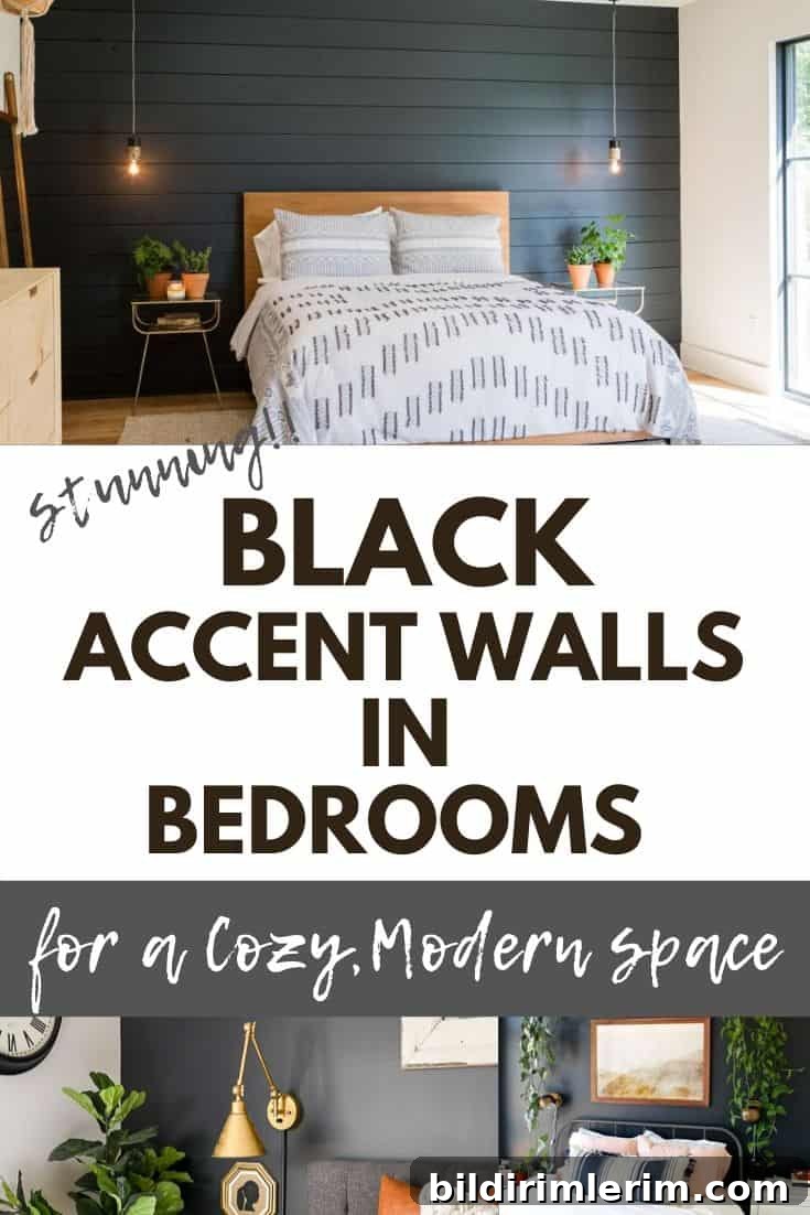 Inspiration collage of black bedroom accent walls
