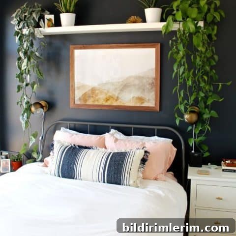 Bold black accent wall with plants and shelves