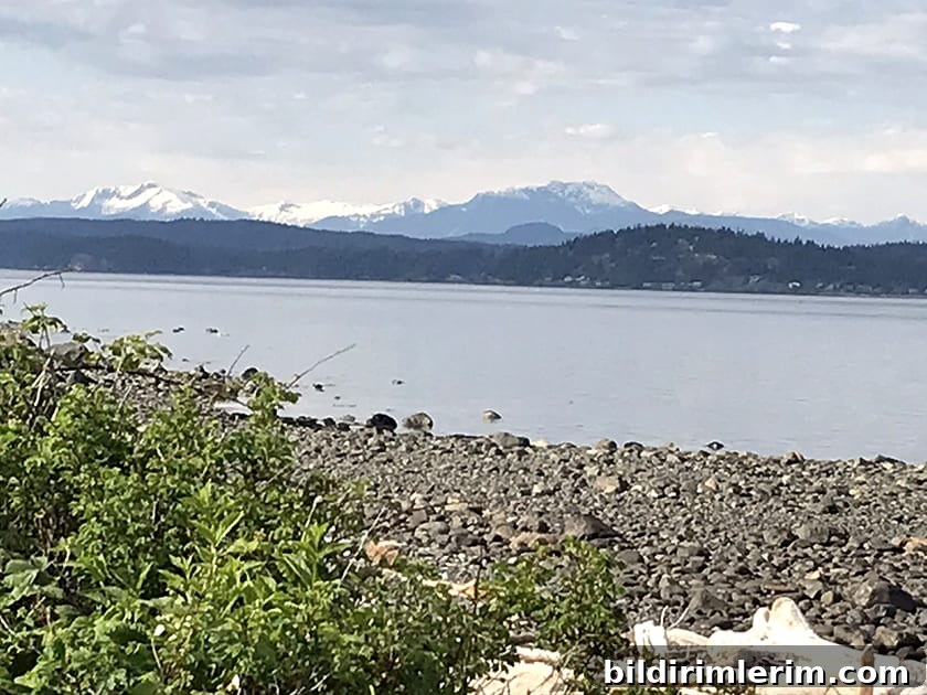 photograph of moutains and ocean that became the inspiration for this easy mountain painting