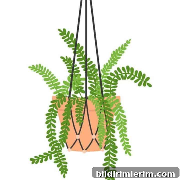 Image for 8 FUN & FREE PLANT ART PRINTABLES