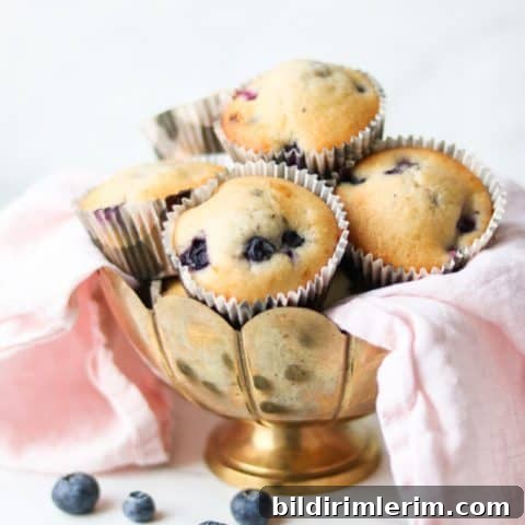 39 Berry Recipes to Make All Year 12 One Bowl Blueberry Muffins